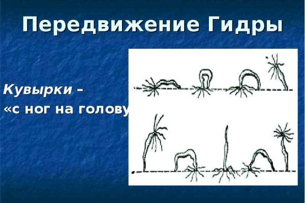 Kraken вход 100